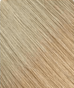 Ponytail #18A